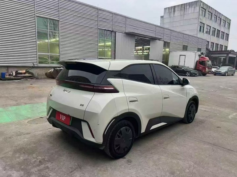 24年淄博比亚迪海鸥