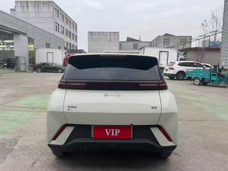 24年淄博比亚迪海鸥