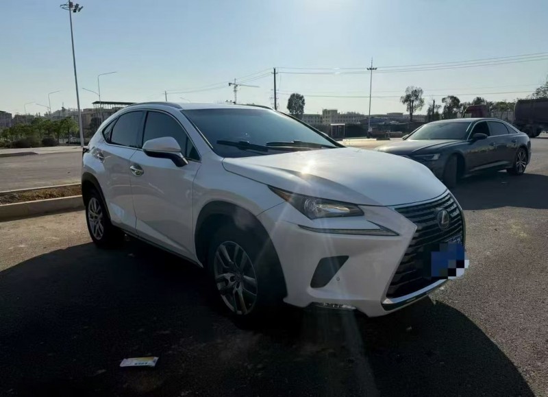 16年衡阳雷克萨斯NX