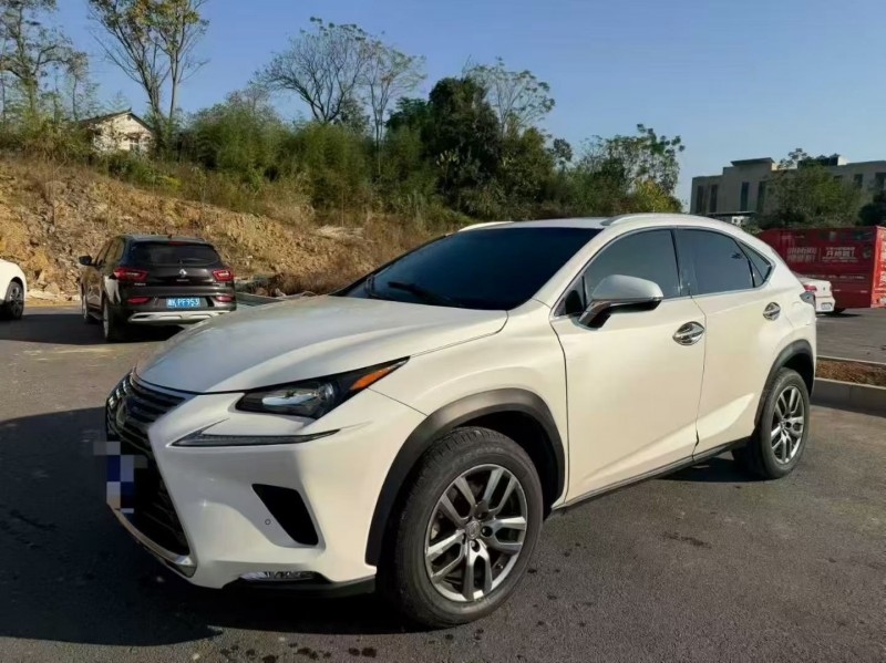 16年衡阳雷克萨斯NX