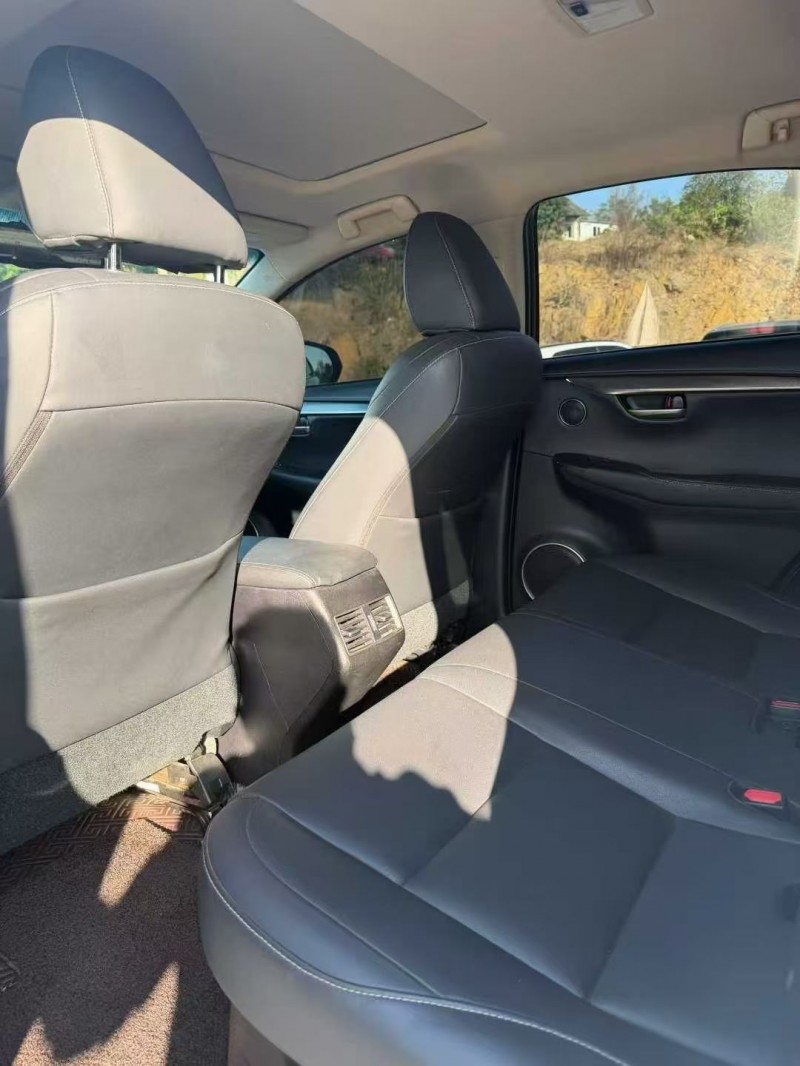 16年衡阳雷克萨斯NX