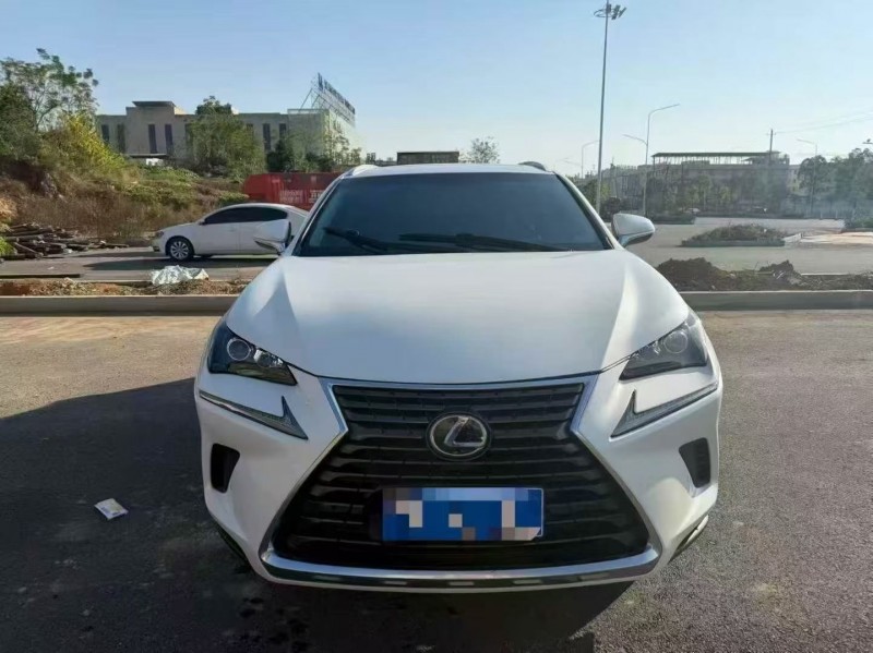 16年衡阳雷克萨斯NX