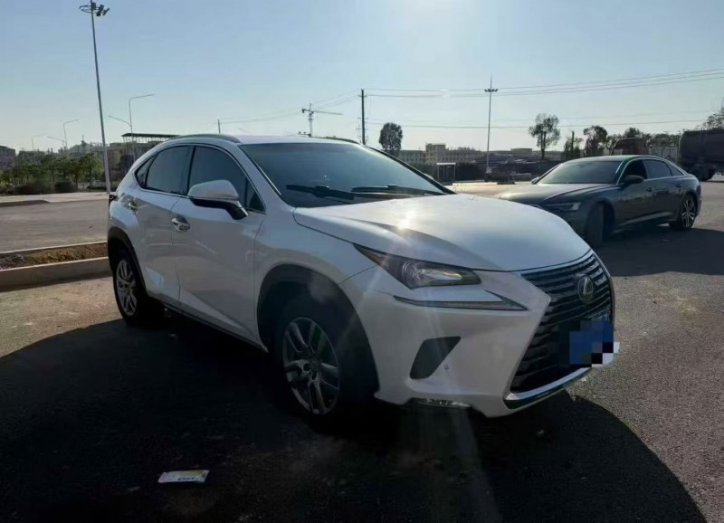 16年衡阳雷克萨斯NX