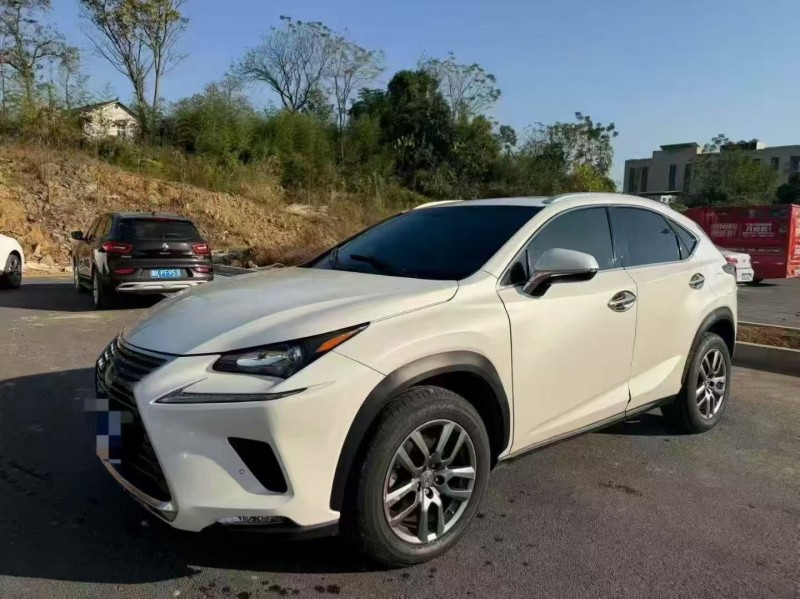 16年衡阳雷克萨斯NX