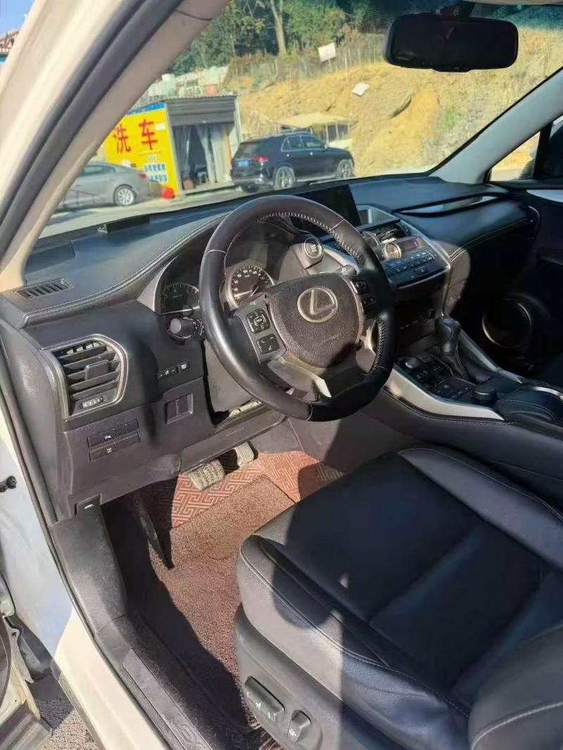 16年衡阳雷克萨斯NX