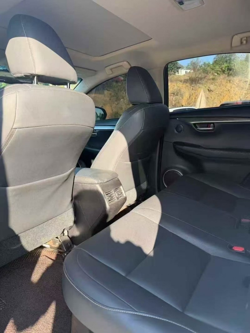 16年衡阳雷克萨斯NX