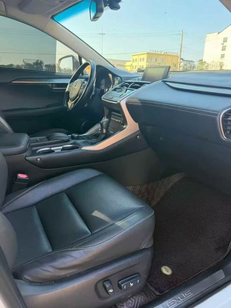 16年衡阳雷克萨斯NX