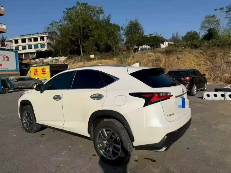 16年衡阳雷克萨斯NX