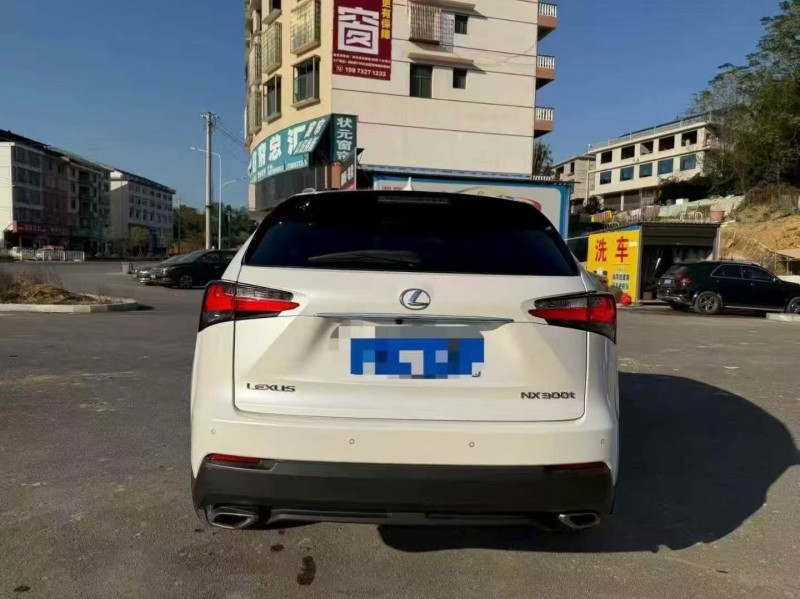 16年衡阳雷克萨斯NX