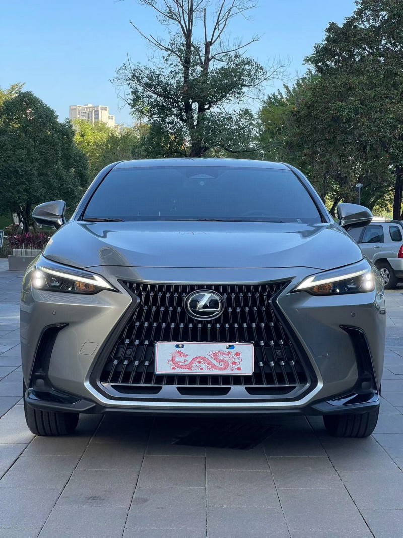 24年佛山雷克萨斯NX