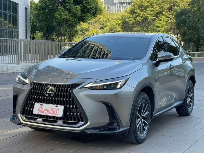 24年佛山雷克萨斯NX