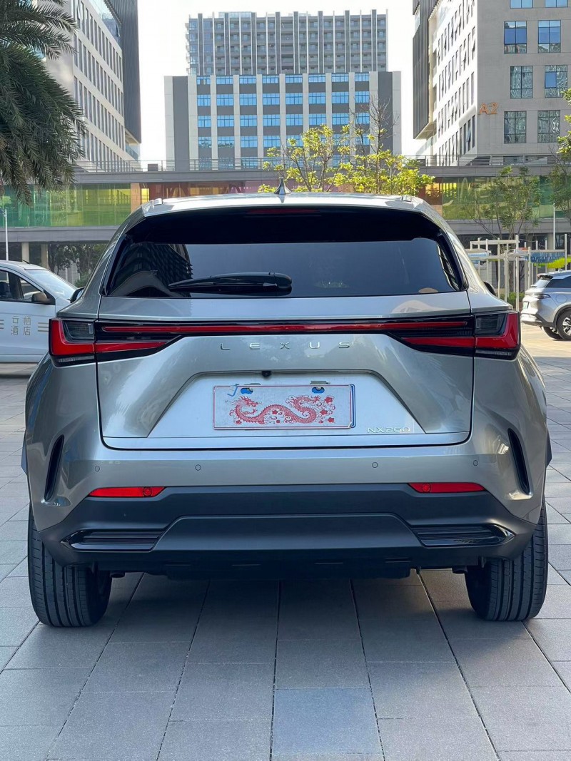 24年佛山雷克萨斯NX