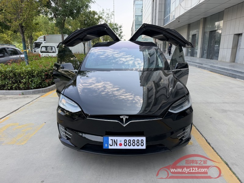 19年济宁特斯拉MODEL X