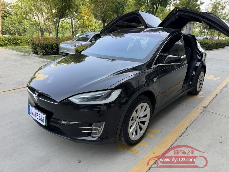 19年济宁特斯拉MODEL X