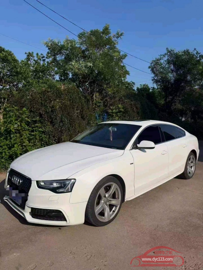 16年东营奥迪A5