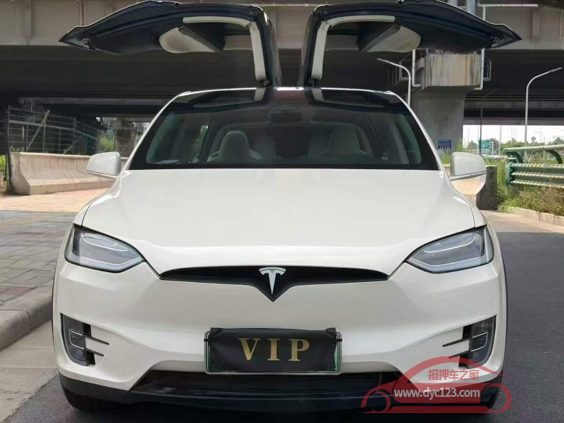17年安阳特斯拉MODEL X