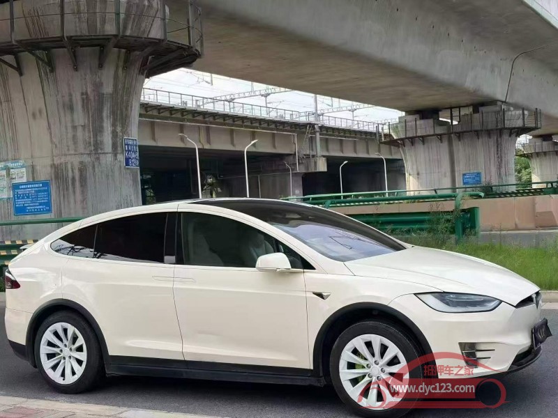 17年安阳特斯拉MODEL X