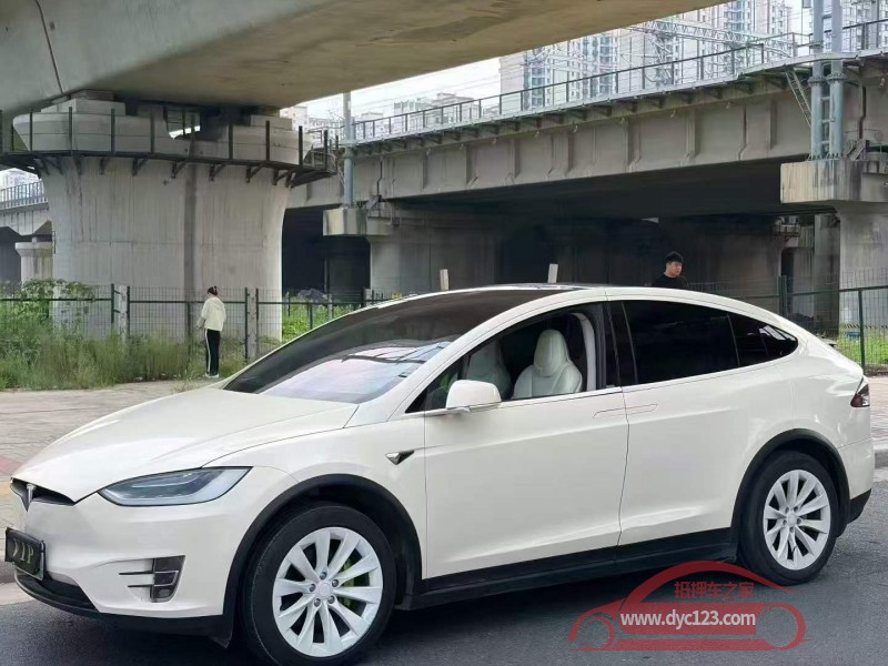 17年安阳特斯拉MODEL X