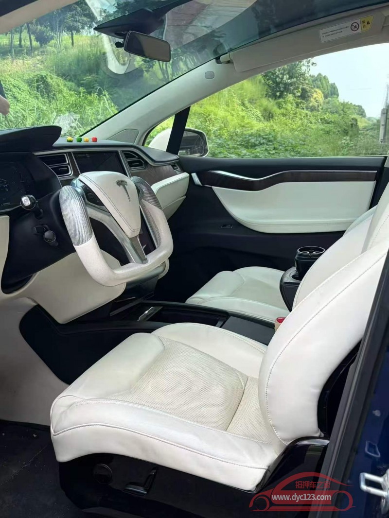 17年安阳特斯拉MODEL X