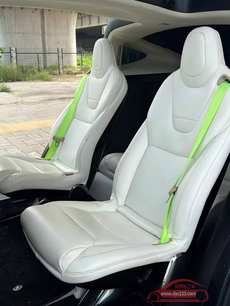 17年安阳特斯拉MODEL X