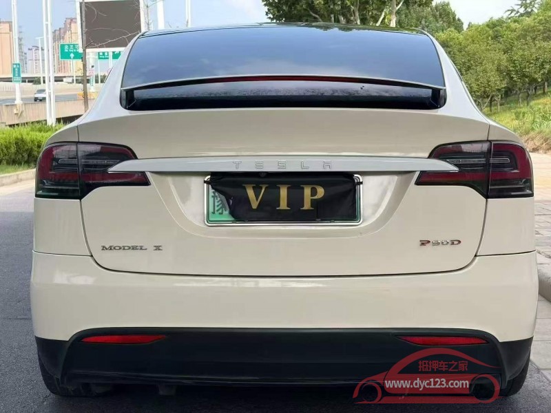 17年安阳特斯拉MODEL X