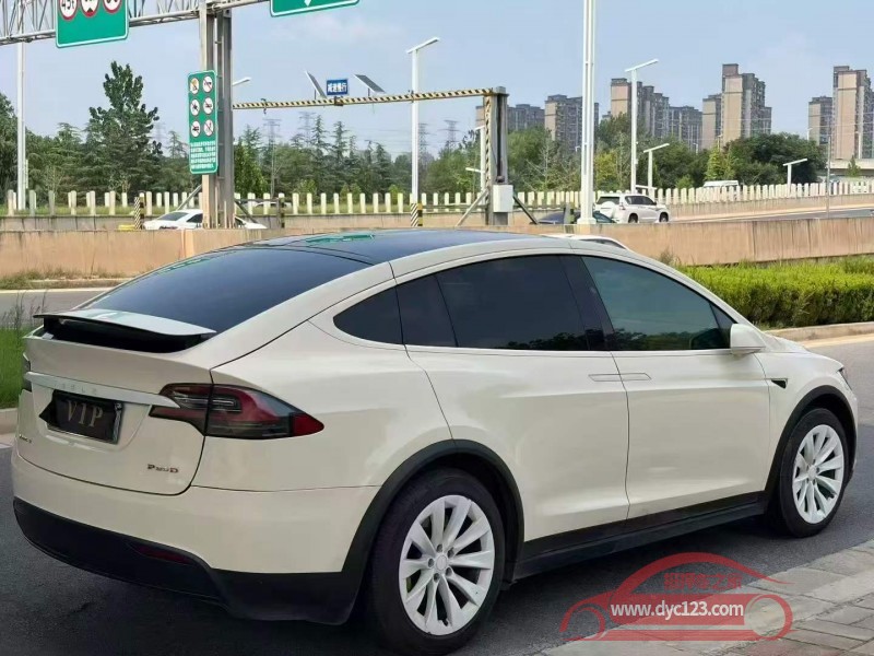 17年安阳特斯拉MODEL X