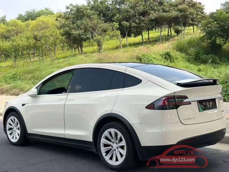 17年安阳特斯拉MODEL X